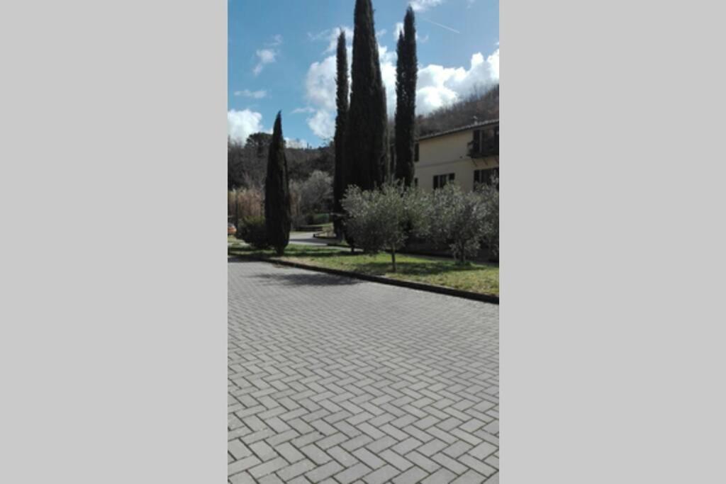 דירות סיינה Casazappa - In Centro A Piedi, Parcheggio E Giardino Privato מראה חיצוני תמונה